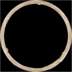 Exhaust Pipe Flange Gasket