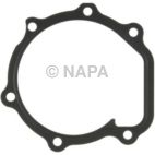 Engine Water Pump Gasket