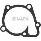 Engine Water Pump Gasket