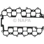 Fuel Injection Plenum Gasket