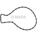 Engine Water Pump Gasket