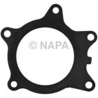 Engine Water Pump Gasket