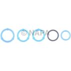 Engine Oil Cooler Gasket