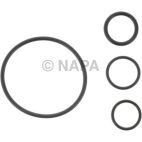 Engine Oil Filter Gasket