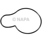 Engine Water Pump Gasket