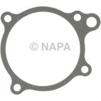 Engine Water Pump Gasket