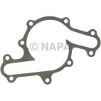 Engine Water Pump Gasket