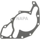 Engine Water Pump Gasket