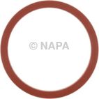Engine Oil Cooler Gasket