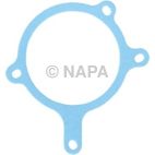 Engine Water Pump Gasket