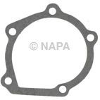 Engine Water Pump Gasket