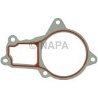 Engine Water Pump Gasket