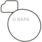 Engine Water Pump Gasket