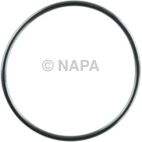 Engine Water Pump Gasket