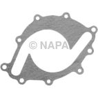 Engine Water Pump Gasket