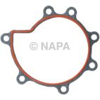 Engine Water Pump Gasket