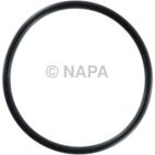 Engine Water Pump Gasket