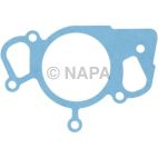 Engine Water Pump Gasket