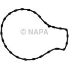 Engine Water Pump Gasket