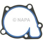 Engine Water Pump Gasket
