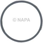 Exhaust Pipe Flange Gasket