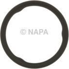 Catalytic Converter Gasket