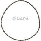 Fuel Injection Throttle Body Mounting Gasket