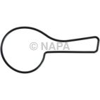 Engine Water Pump Gasket
