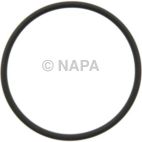 Engine Oil Cooler Gasket
