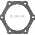 Engine Water Pump Gasket