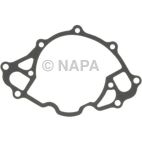 Engine Water Pump Gasket