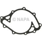 Engine Water Pump Gasket