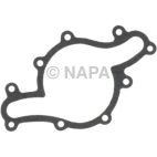 Engine Water Pump Gasket