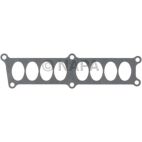 Fuel Injection Plenum Gasket