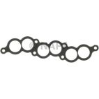 Fuel Injection Plenum Gasket
