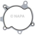Engine Water Pump Gasket