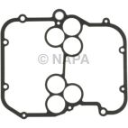 Fuel Injection Plenum Gasket