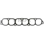 Fuel Injection Plenum Gasket