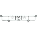 Fuel Injection Plenum Gasket