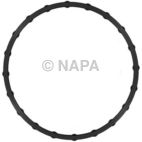 Fuel Injection Throttle Body Mounting Gasket