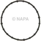 Engine Oil Filter Adapter Gasket