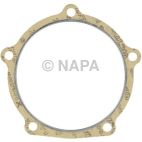 Catalytic Converter Gasket