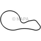 Engine Water Pump Gasket