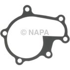 Engine Water Pump Gasket