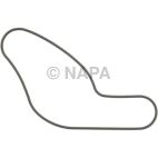 Engine Water Pump Gasket
