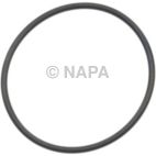 Engine Water Pump Gasket