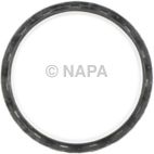 Engine Oil Cooler Gasket