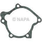 Engine Water Pump Gasket