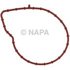 Engine Water Pump Gasket