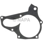 Engine Water Pump Gasket